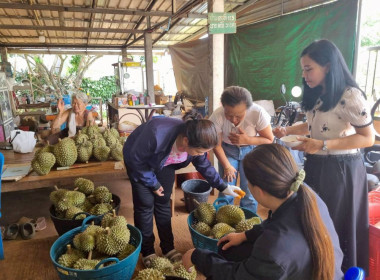 สำนักงานสหกรณ์จังหวัดยโสธรหนุนเชื่อมโยงเครือข่าย จับคู่ ... Image 2
